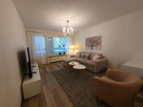 Kansa City Apartment - Wi-Fi - Sauna